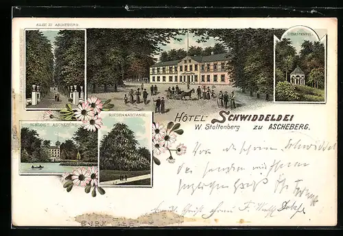 Lithographie Ascheberg / Holst., Hotel Schwiddeldei W. Stoltenberg, Schloss, Riesen-Kastanie