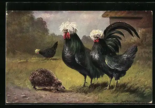 Künstler-AK August Müller - München: Hühner und Igel auf einem Hof