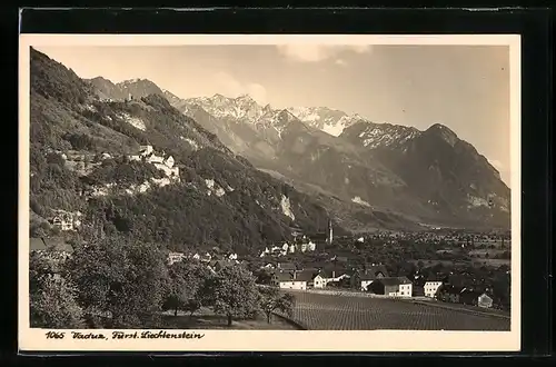 AK Vaduz, Fürst. Liechtenstein, Gesamtansicht mit den Alpen