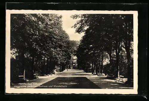 AK Bad Altheide, Hauptallee zwischen Kurhaus und Wandelhalle