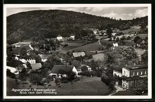 AK Agnetendorf im Riesengebirge, Blick nach dem Herdberg