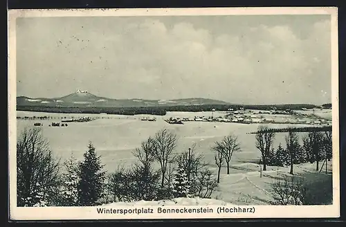 AK Benneckenstein, Ortsansicht aus der Ferne