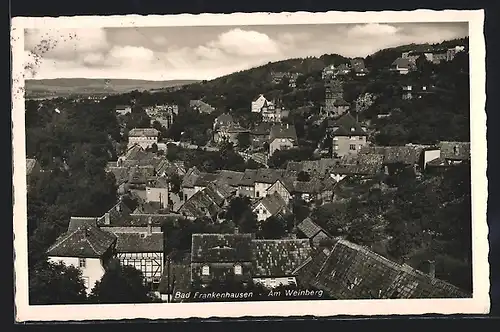 AK Bad Frankenhausen, Panorama vom Weinberg aus