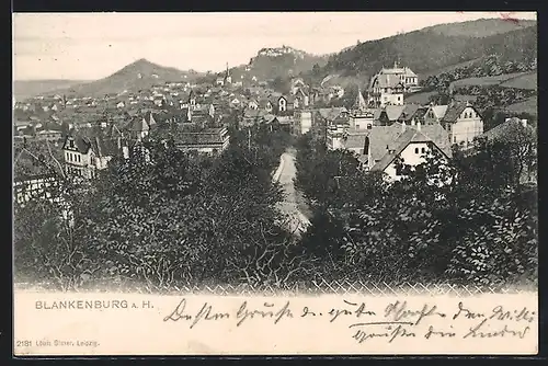 AK Blankenburg / Harz, Ortsansicht aus der Vogelschau