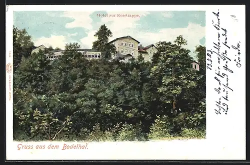 AK Thale im Harz, Waldpartie unter dem Hotel Rosstrappe