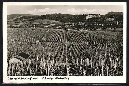 AK Oberrotweil a. K., Rebanlage Henkenberg