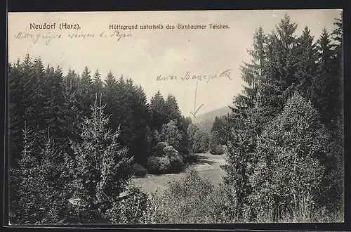 AK Neudorf / Harz, Hüttegrund unterhalb des Birnbaumer Teiches