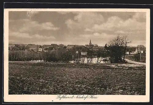 AK Neudorf / Harz, Ortsansicht aus der Vogelschau