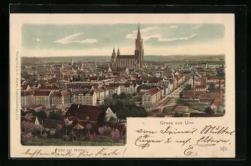 AK Ulm a. D., Stadtansicht aus der Vogelschau