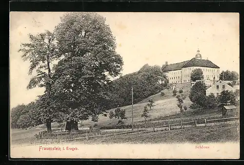 AK Frauenstein im Erzgeb., Blick zum Schloss