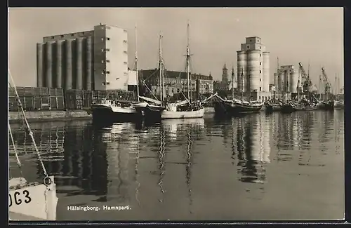 AK Hälsingborg, Hamnparti