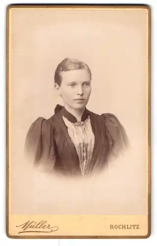 Fotografie Moritz Müller, Rochlitz, Obere Gärtnerstr., Junge schöne Dame im dunklen Kleid mit Brosche und Spange im Haar