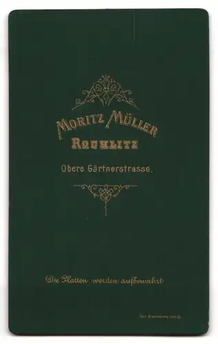Fotografie Moritz Müller, Rochlitz, Obere Gärtnerstr., Junge Frau im Kleid mit Hochsteckfrisur und strengem Blick
