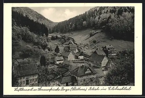 AK Zorge /Südharz, Blick ins Elsbachtal