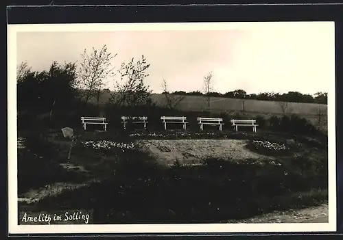 AK Amelith im Solling, Bänke an einem Hang