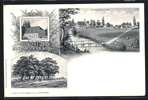Lithographie Hermannsburg, Alt-Hermannsburg, Das alte Pfarr- und das alte Missionshaus