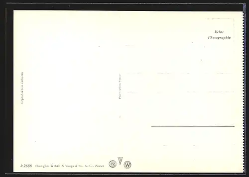 AK Zürich, Strassenbahn und Dampfer