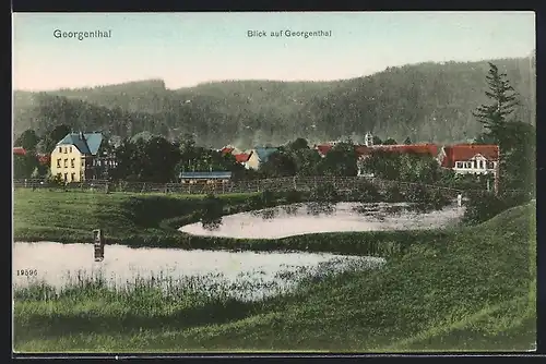 AK Georgenthal / Thüringen, Ortsansicht aus der Vogelschau