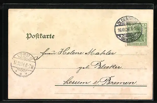 AK Oldenburg, Grossherzogl. Schloss und Lambertikirche