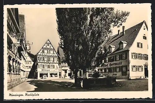 AK Münsingen, Partie am Marktplatz mit Gasthaus Herrmann