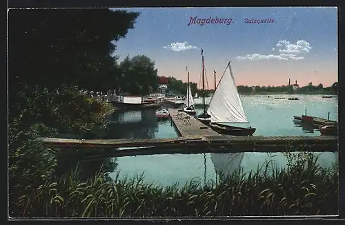 AK Magdeburg, Salzquelle