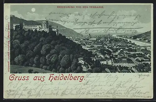 AK Heidelberg / Neckar, Panorama von der Terrasse aus