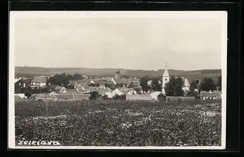 AK Zeletava, Panorama mit Kirche