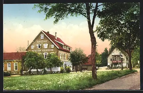 AK Zwieselberg, Gasthof Pension Auerhahn