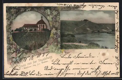 AK Nordheim, Weinreben an der Vogelsburg