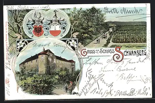 AK Schwanberg, Ansicht vom Schloss, Strassenpartie
