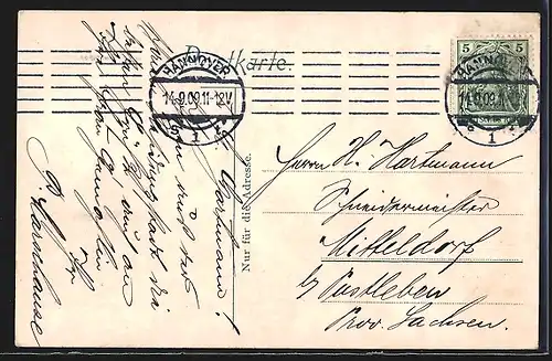 AK Hannover, Maschpark und Neues Provinzialmuseum