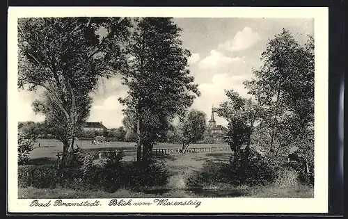 AK Bad Bramstedt, Blick vom Wiesensteig mit Kirche