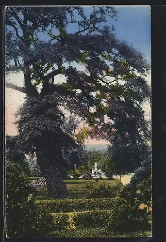 AK Fürstenwalde / Spree, Anlagenpartie auf dem Kaiser- und Denkmals-Platz