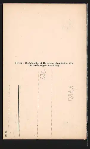 AK Schönau b. Gemünden a. Main, Ortsansicht aus der Vogelschau