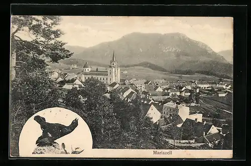 AK Mariazell, Ortsansicht mit Kirche, Auerhahn