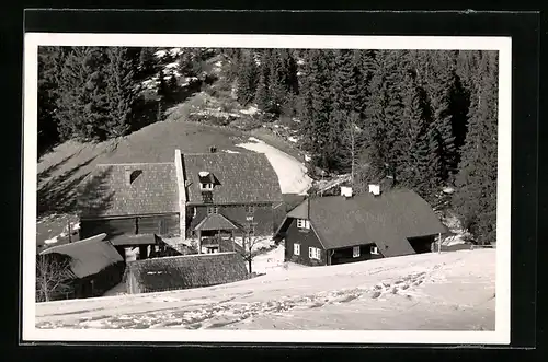 AK Leoben, Hochalmwirtshaus und Gasthof Göss im Schnee