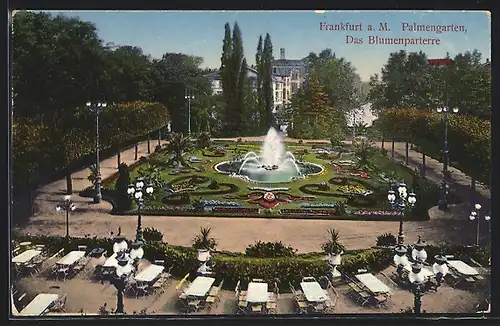 AK Frankfurt-Westend, Palmengarten, Das Blumenparterre