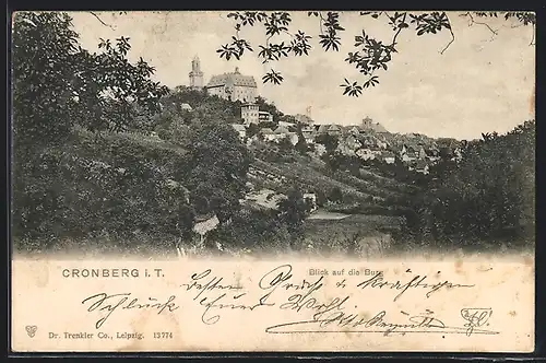 AK Cronberg i. T., Blick auf die Burg