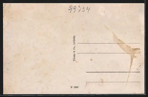 AK Nordhausen /Harz, Das Rathaus der tausenjährigen Stadt