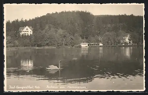 AK Bad Georgenthal /Thür., Kurhaus am Hammersee