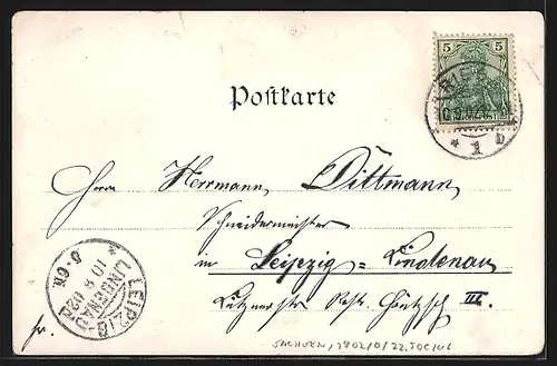 AK Riesa, Rathaus, Trinitatis-Kirche und Partie im Stadtpark