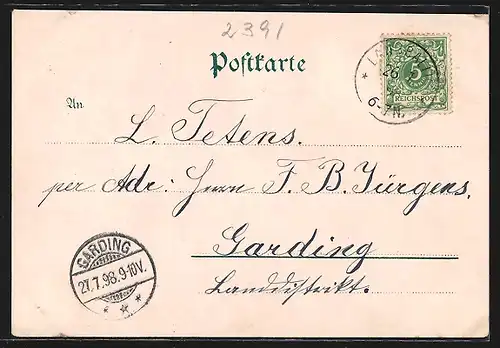 Lithographie Bad Hohenau / Ostseebad, Ansicht des Gutshauses am Berg