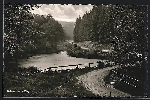 AK Holzminden, Reihertal im Solling, Strasse nahe eines Weihers