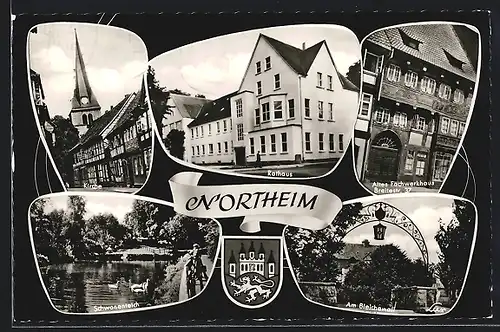 AK Northeim, Rathaus, Kirche, Schwanenteich, Am Bleichewall, altes Fachwerkhaus, Stadtwappen