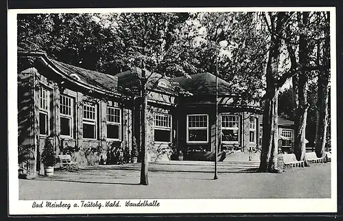 AK Bad Meinberg a. Teutobg. Wald, Wandelhalle mit Bänken