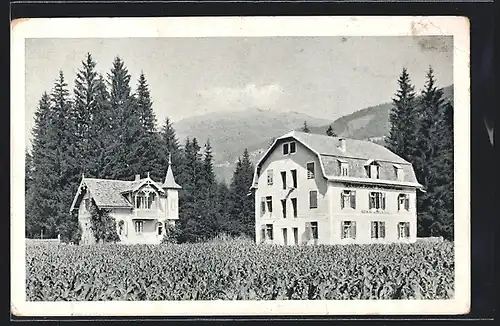 AK Berg im Drautal /Oberkärnten, Waldpension J. Schader