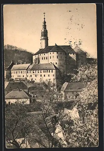 AK Weesenstein, Schloss im Frühling mit blühenden Bäumen