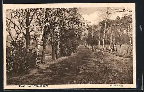 AK Oranienburg, Partie am Birkenweg