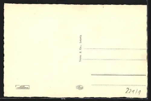 AK Zwickau i. Sa., Rathaus und Gewandhaus