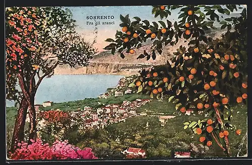 AK Sorrento, Fra gli aranci